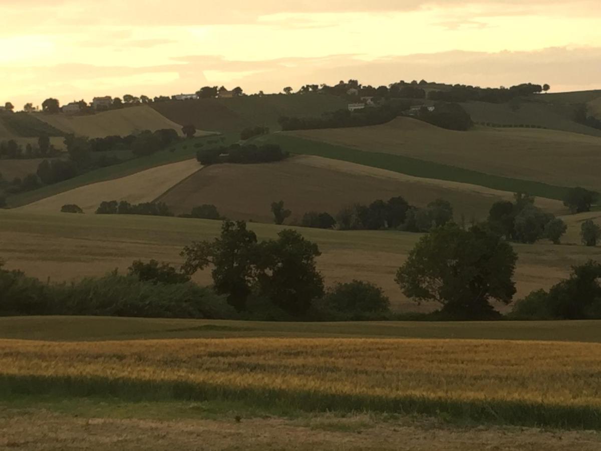Il Giardino Nella Valle Belvedere Ostrense 외부 사진