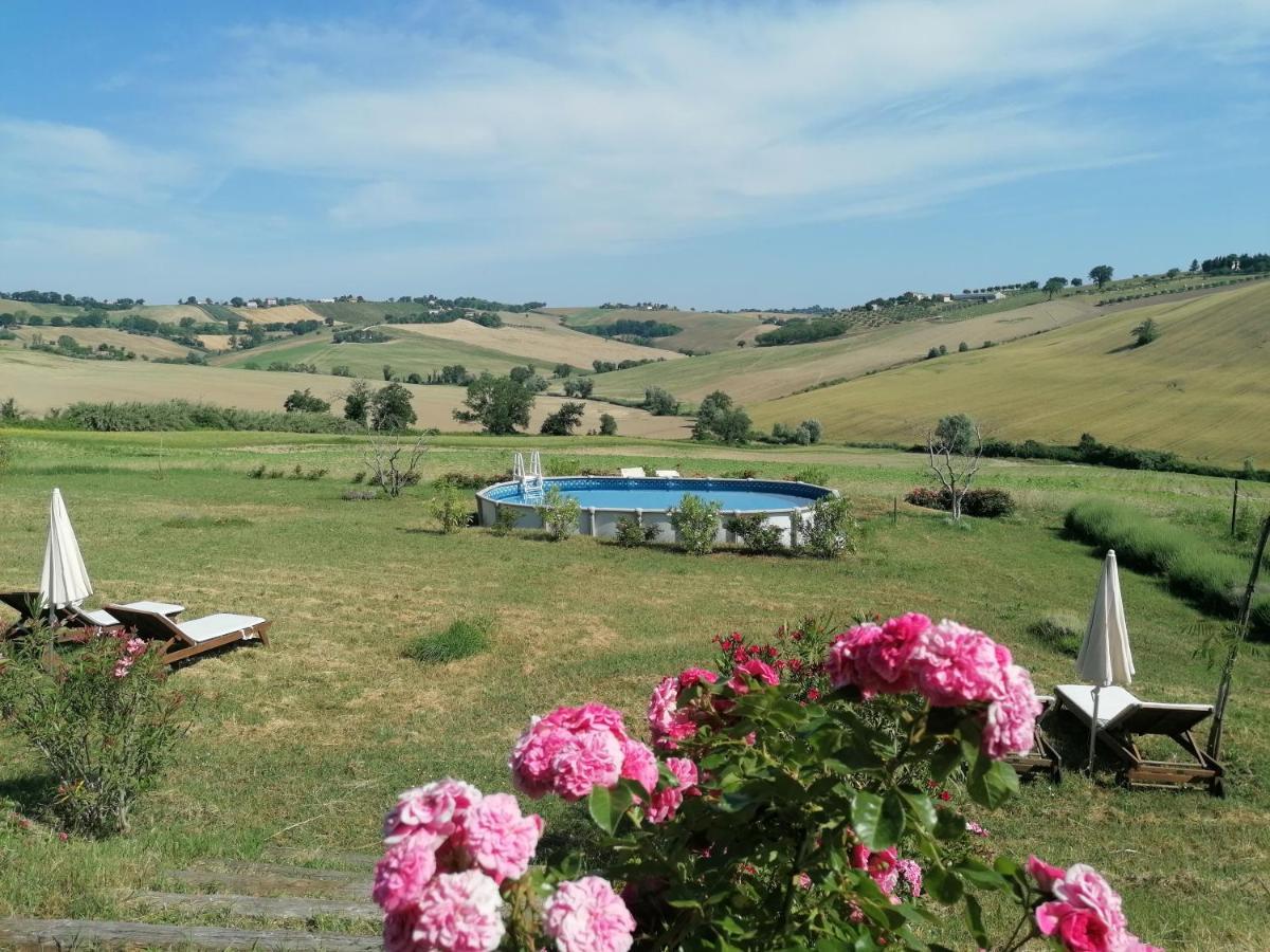 Il Giardino Nella Valle Belvedere Ostrense 외부 사진