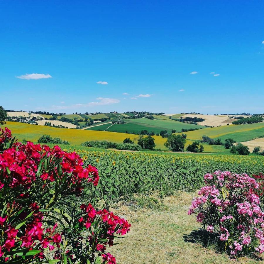 Il Giardino Nella Valle Belvedere Ostrense 외부 사진