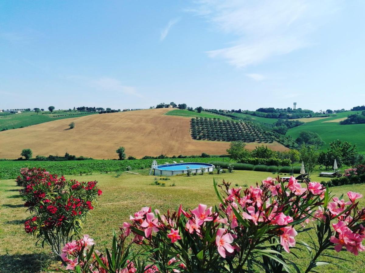 Il Giardino Nella Valle Belvedere Ostrense 외부 사진