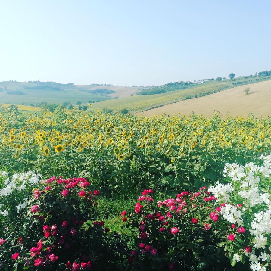 Il Giardino Nella Valle Belvedere Ostrense 외부 사진