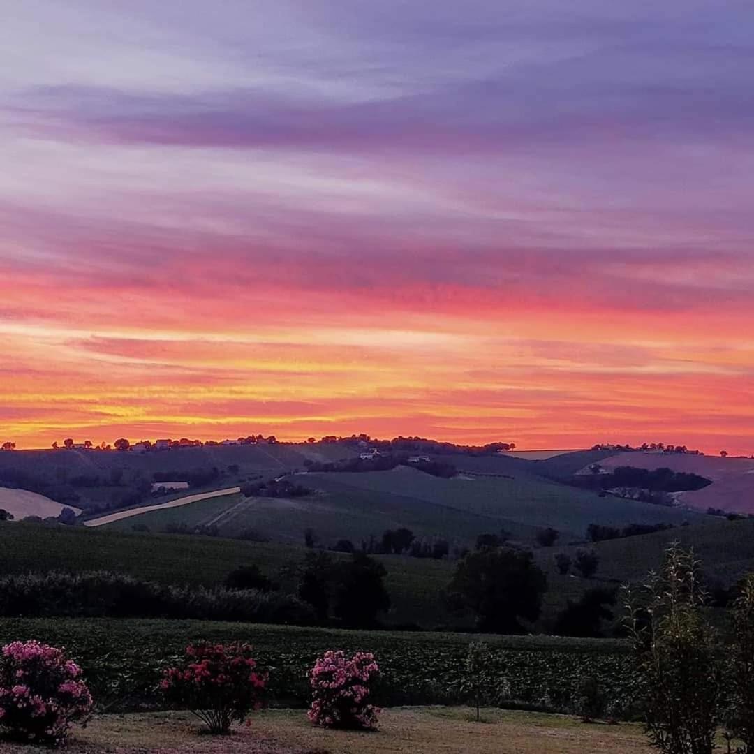 Il Giardino Nella Valle Belvedere Ostrense 외부 사진