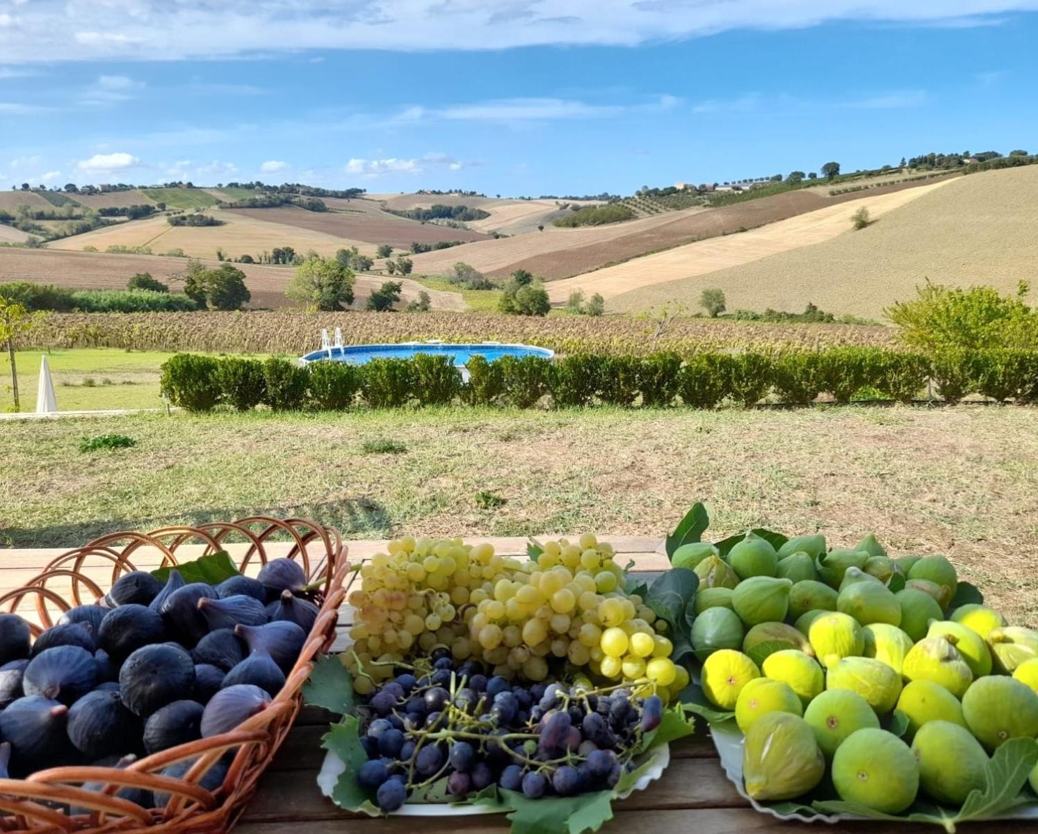 Il Giardino Nella Valle Belvedere Ostrense 외부 사진