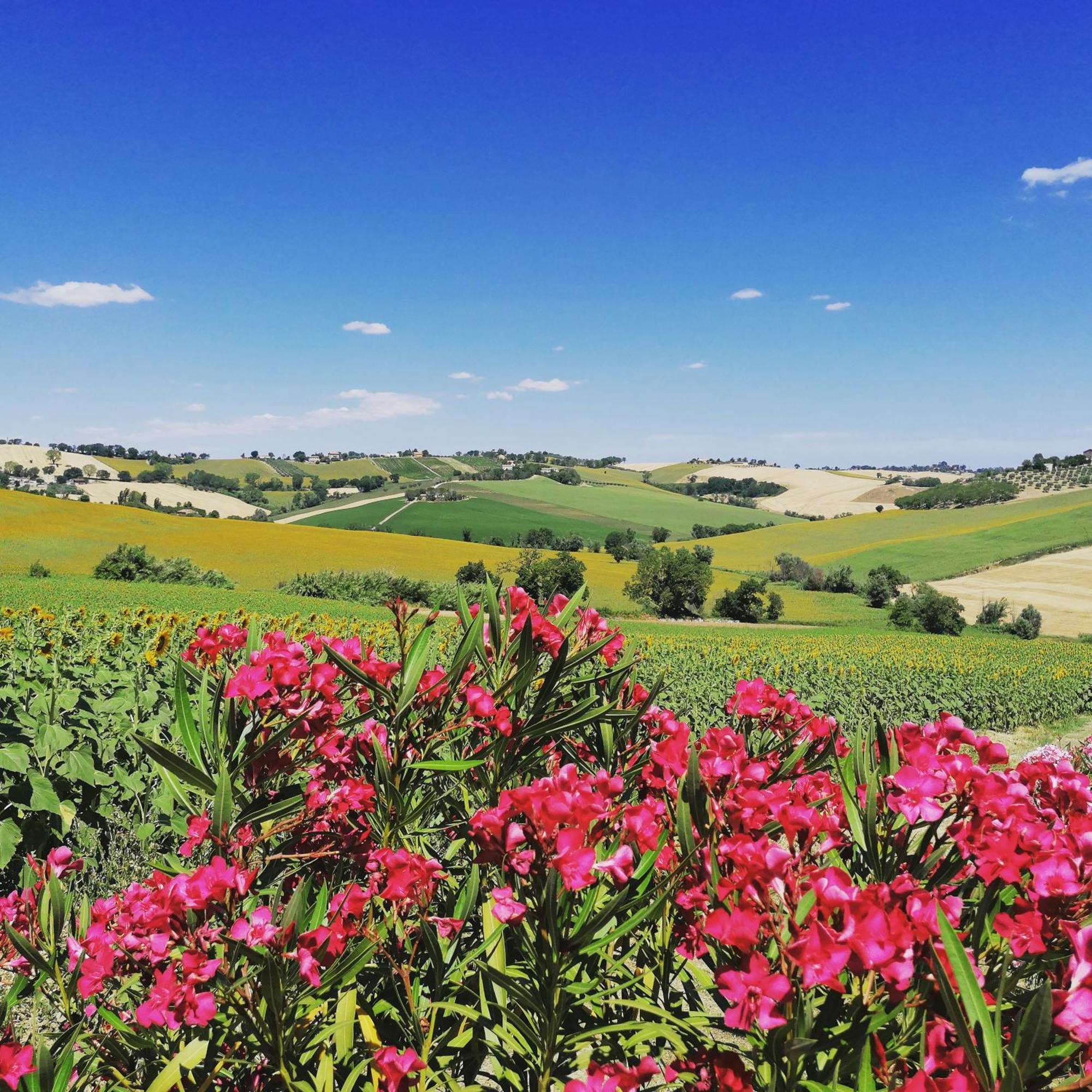 Il Giardino Nella Valle Belvedere Ostrense 외부 사진