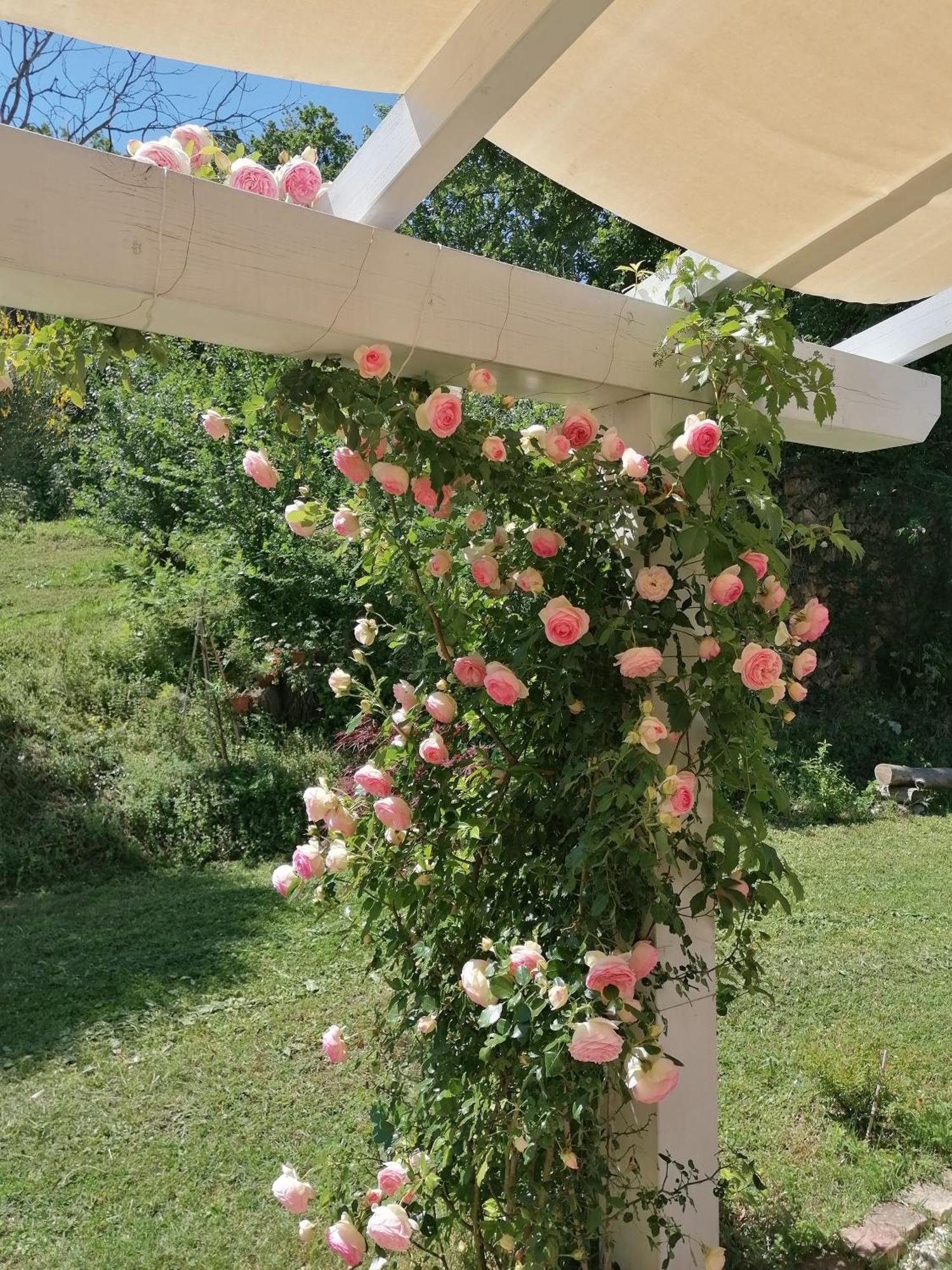 Il Giardino Nella Valle Belvedere Ostrense 외부 사진
