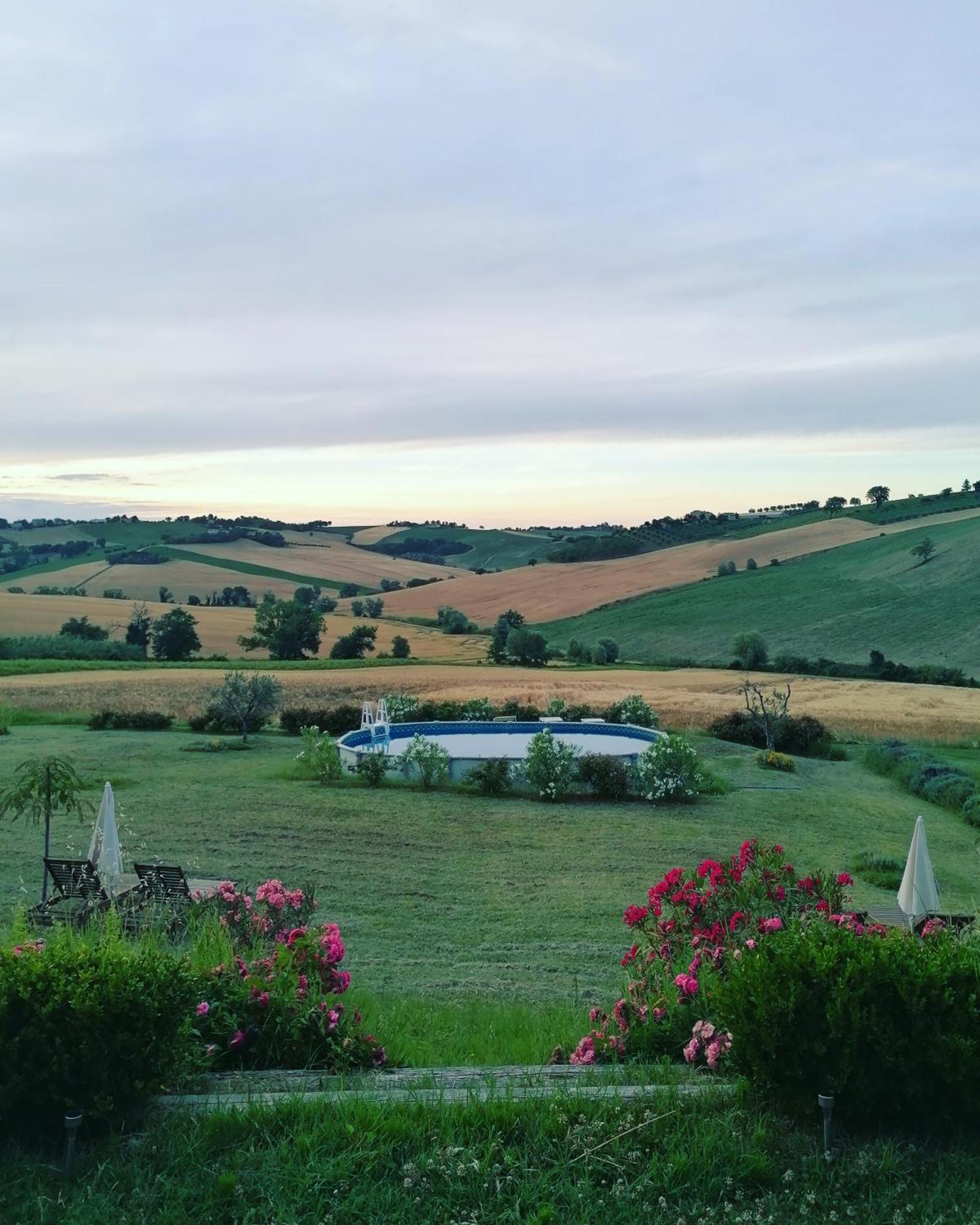 Il Giardino Nella Valle Belvedere Ostrense 외부 사진