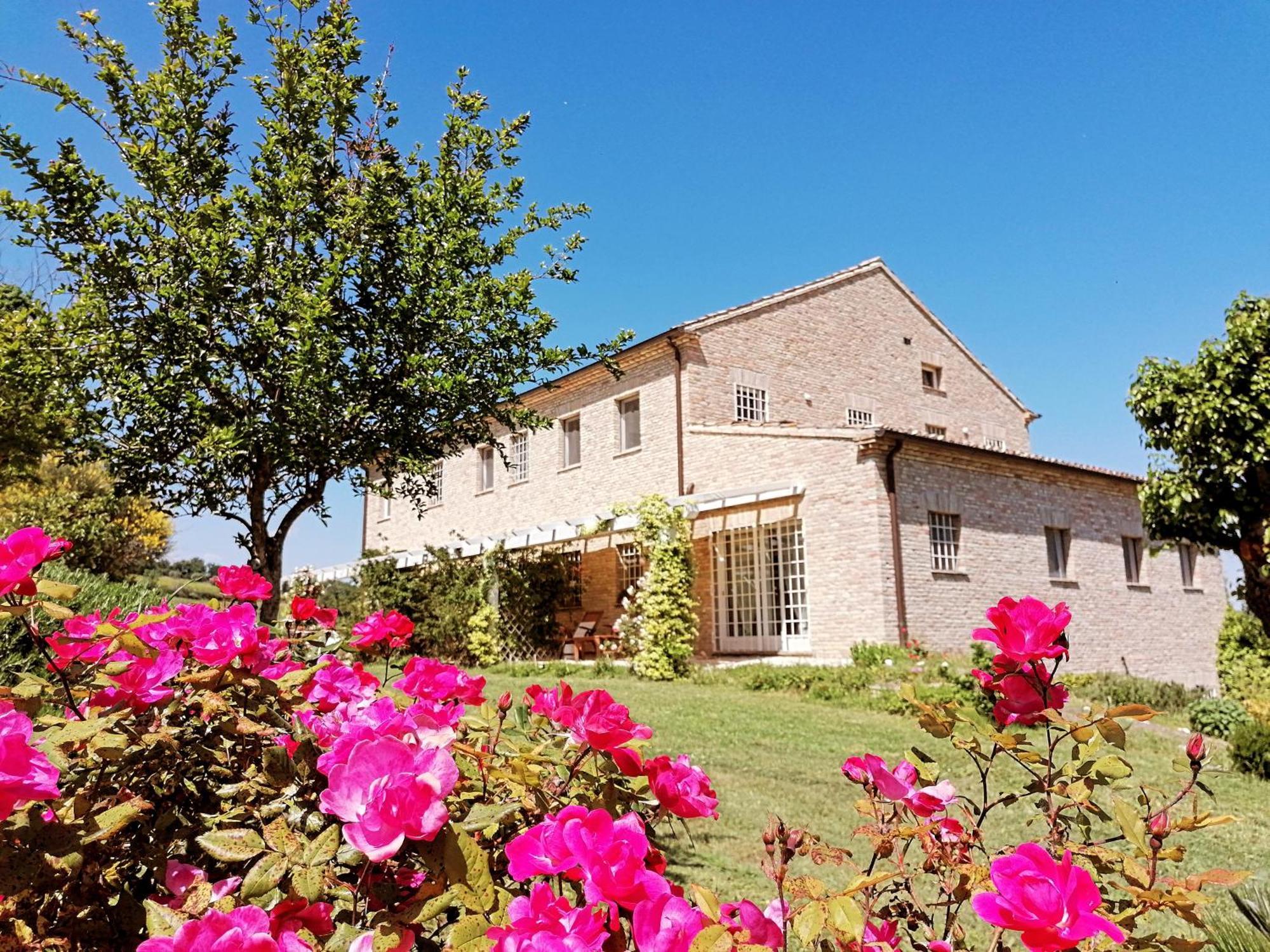 Il Giardino Nella Valle Belvedere Ostrense 외부 사진