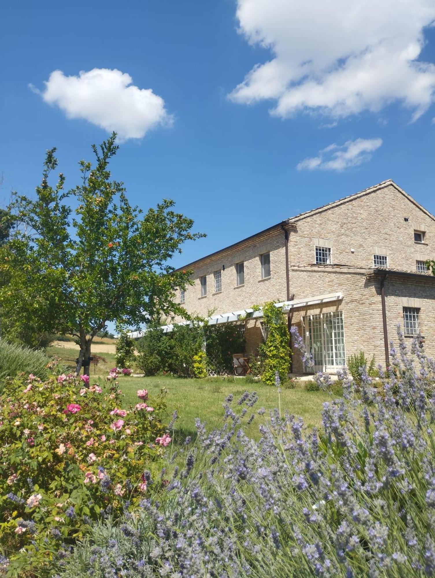 Il Giardino Nella Valle Belvedere Ostrense 외부 사진